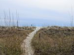 Sandy Beach Path from Driftwood